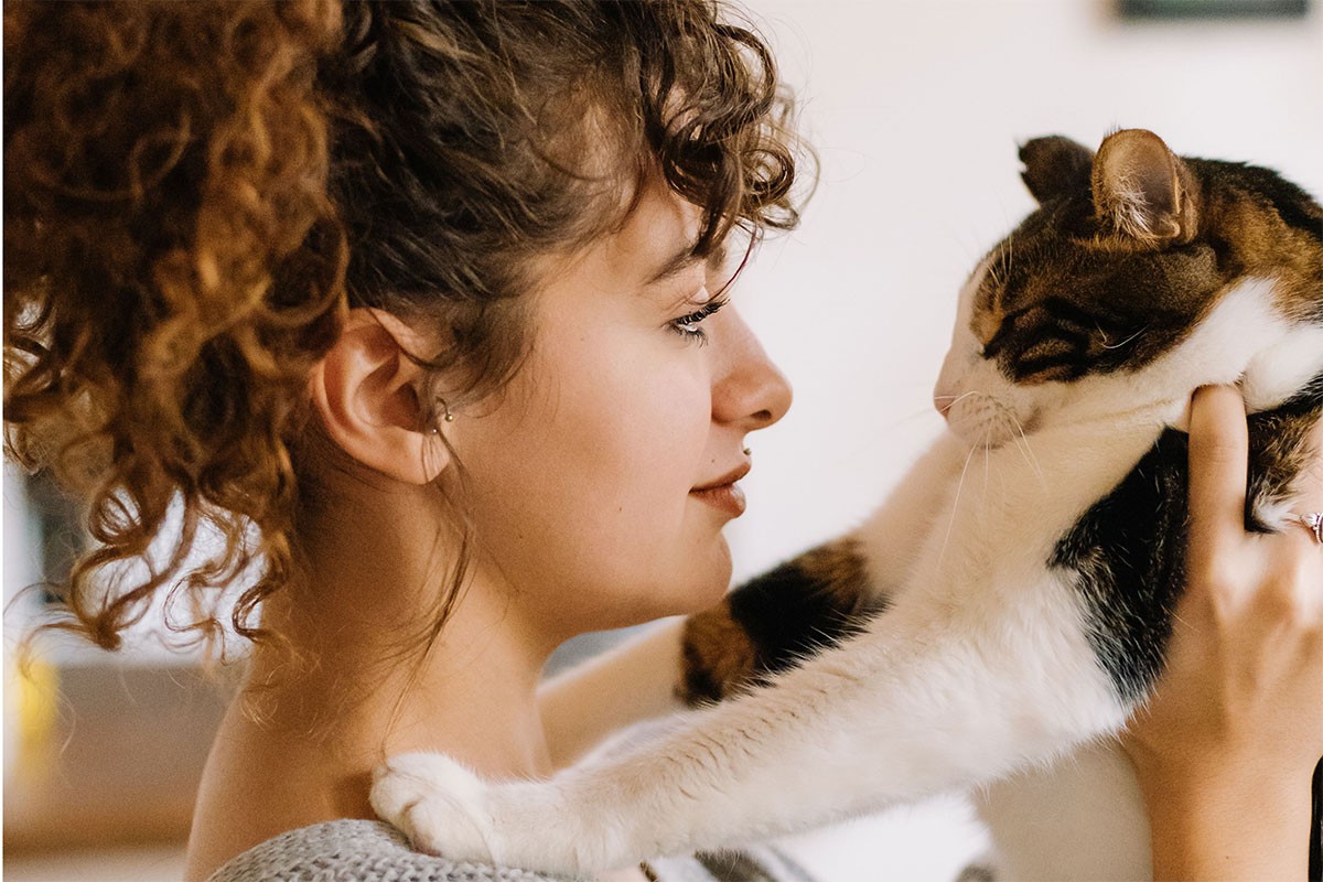 Kako mačke tješe svoje vlasnike? Veterinari otkrivaju osam suptilnih znakova