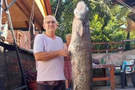 Zijo ponovo u akciji: Ulovio kapitalca od 53 kilograma