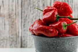 Koliko je paprika potrebno za kilogram ajvara, ovo je najpošteniji ...
