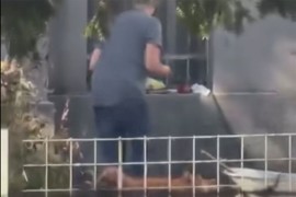 Pekli prase u dvorištu Zemaljskog muzeja u Sarajevu, stigla reakcija ...