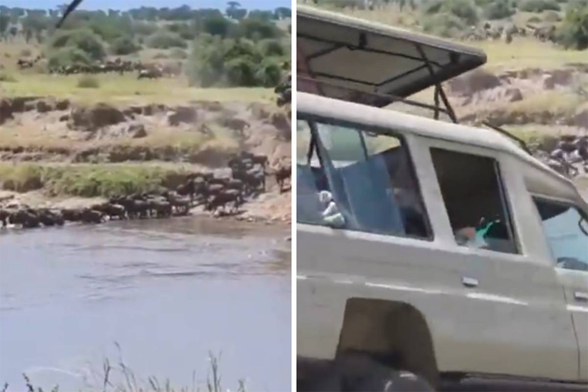 Džip s turistima sletio u rijeku punu krokodila (VIDEO)