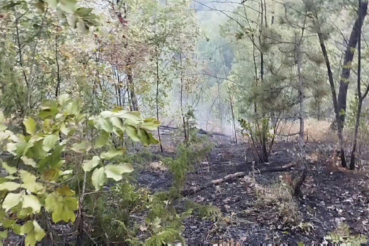 Požar u Vrbanji i dalje tinja, vatrogasci ostaju na terenu