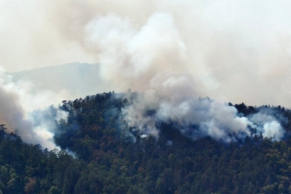 Grom zapalio šume kod Teslića: Vatrogasci vode tešku borbu