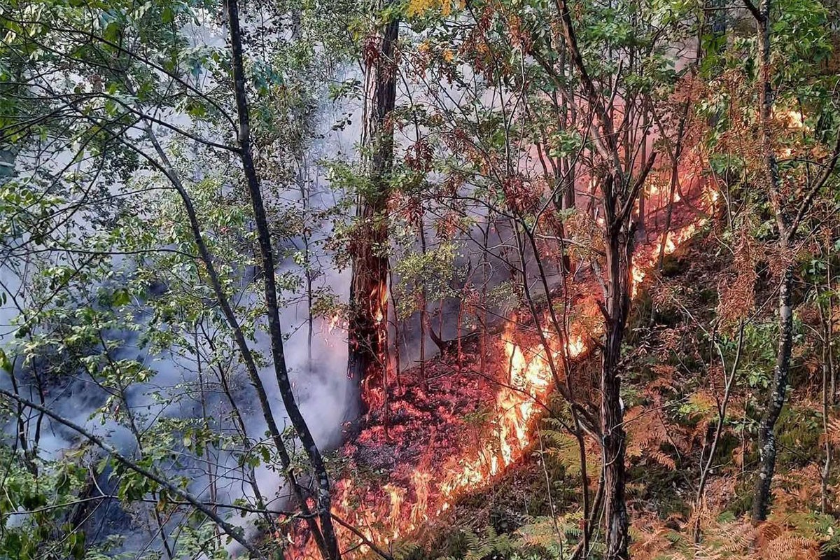 Vatrogasci i mještani obuzdali požar kod Teslića (FOTO)