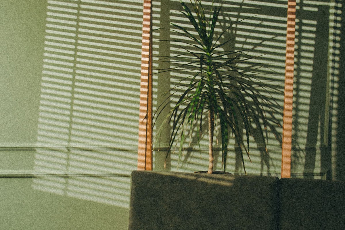 Boja za zidove koja umiruje: Psiholozi je preporučuju, a izgleda luksuzno (FOTO)