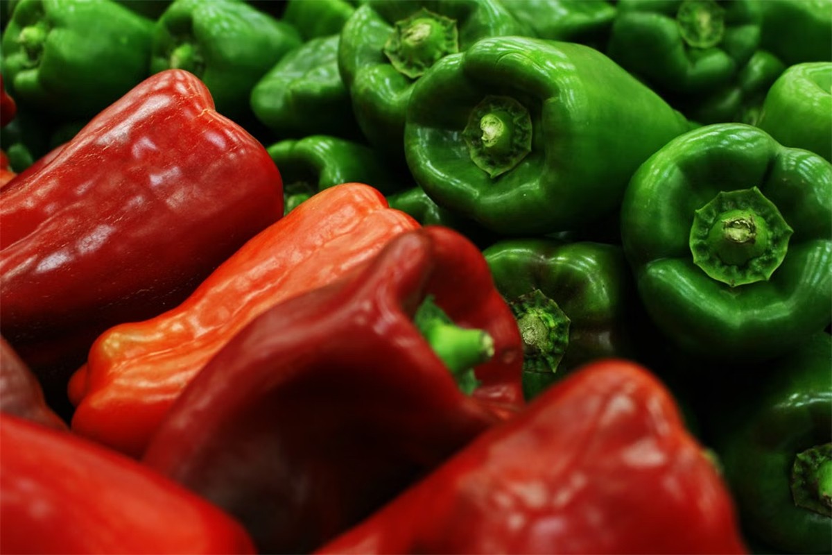 Šarena salata od kiselih paprika: Zimnica po starinskom receptu