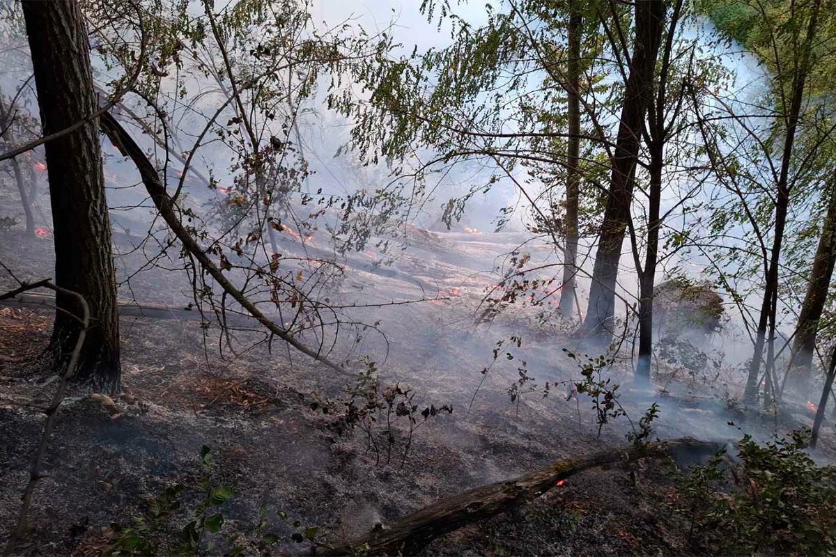 Požar danima kod Banjaluke: Kuće odbranjene, prijeti vjetar, oprez zbog dima