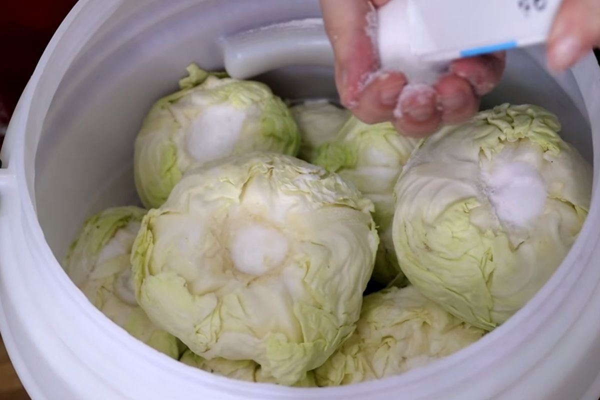 Koliko soli ide na 10 litara vode za kiseli kupus? Samo ovo je prava količina