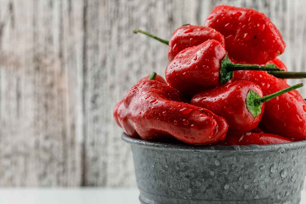 Koliko je paprika potrebno za kilogram ajvara, ovo je najpošteniji odgovor