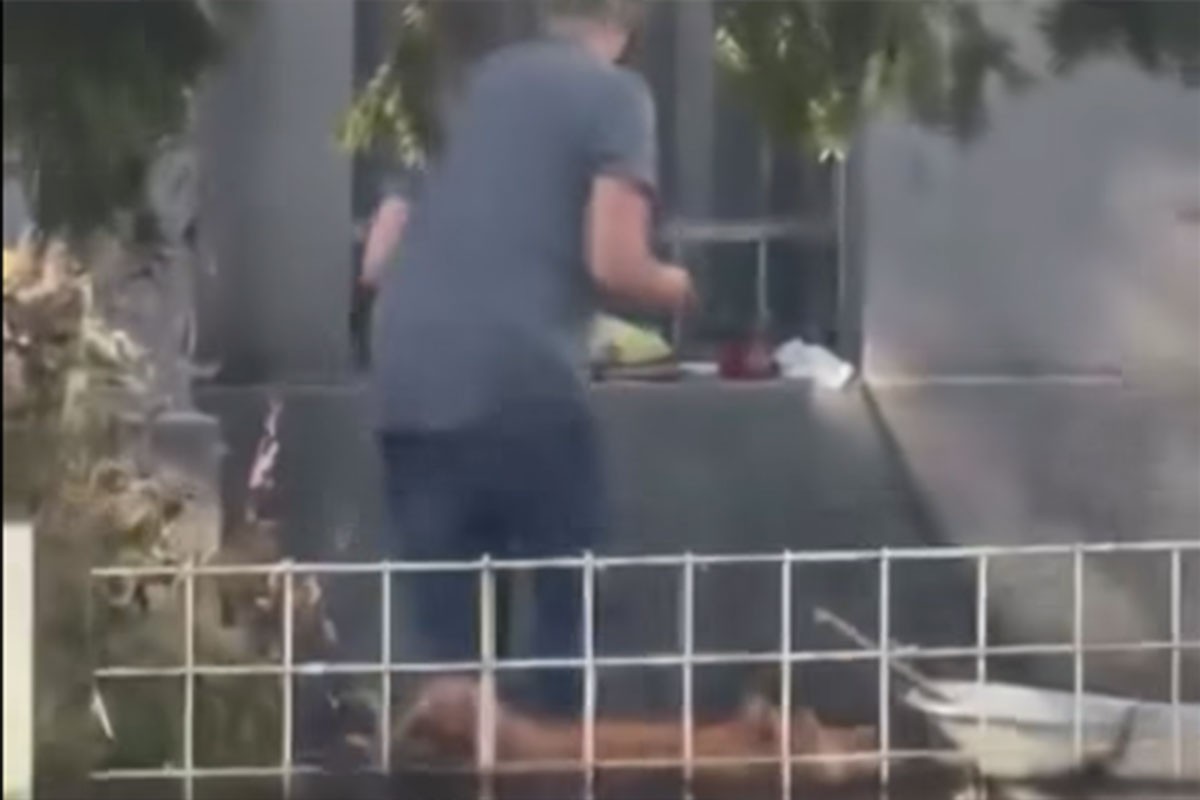 Pekli prase u dvorištu Zemaljskog muzeja u Sarajevu, stigla reakcija (VIDEO)