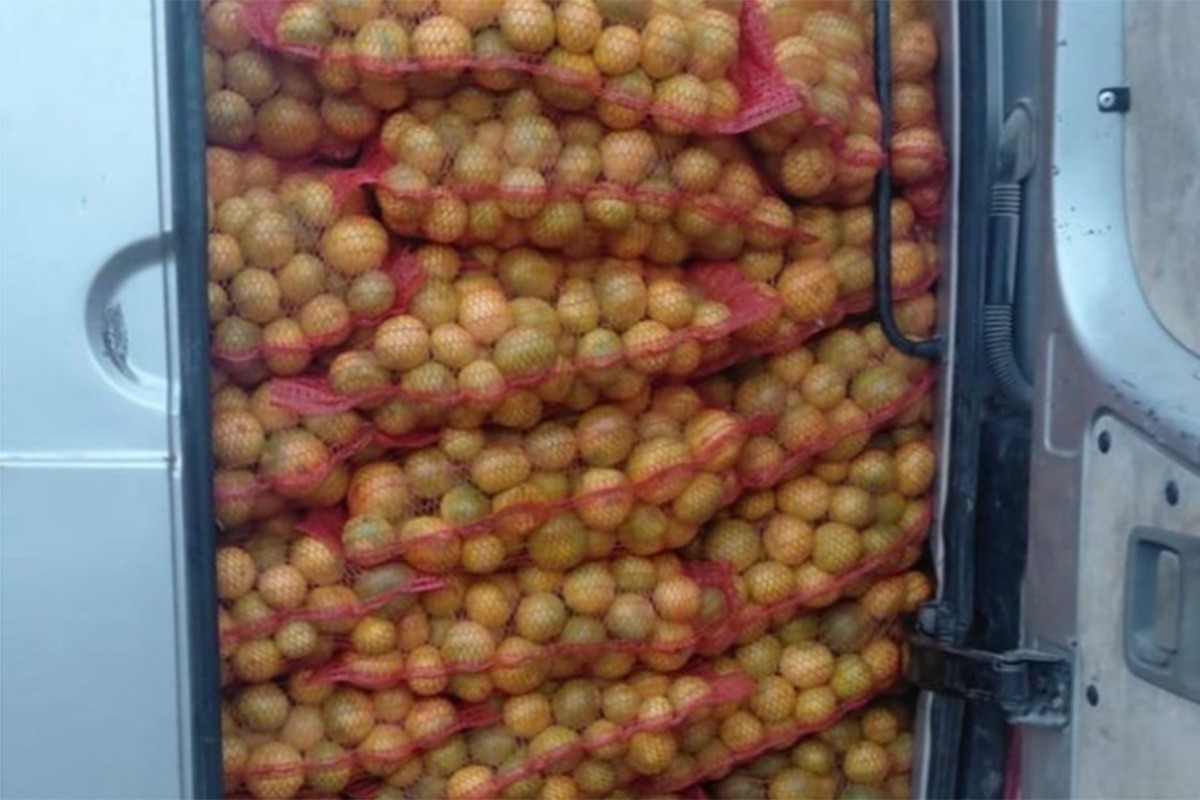 Spriječen nezakonit uvoz 4.500 kilograma mandarina iz Hrvatske