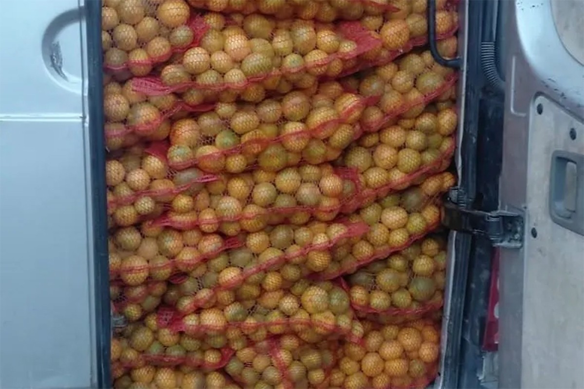 Graničari BiH zaustavili mercedes: Otkriveno 4.500 kg mandarina