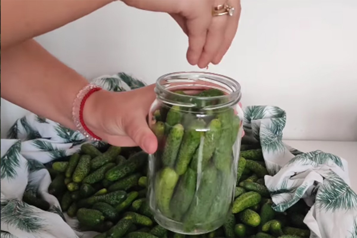 Zimnica bez muke: Od četiri kilograma kornišona čak 11 tegli (VIDEO)