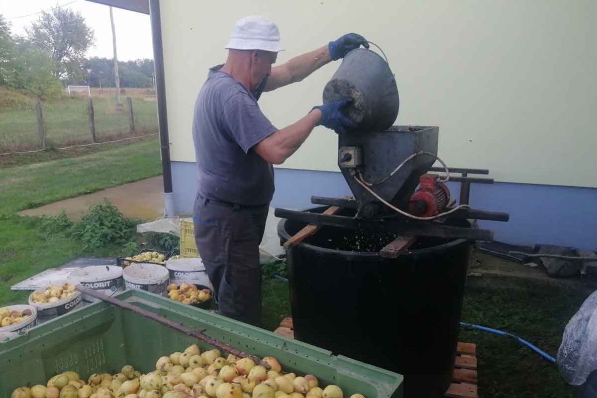 Kriza u Potkozarju: Kruške završile u rakiji, a šljive u pekmezu