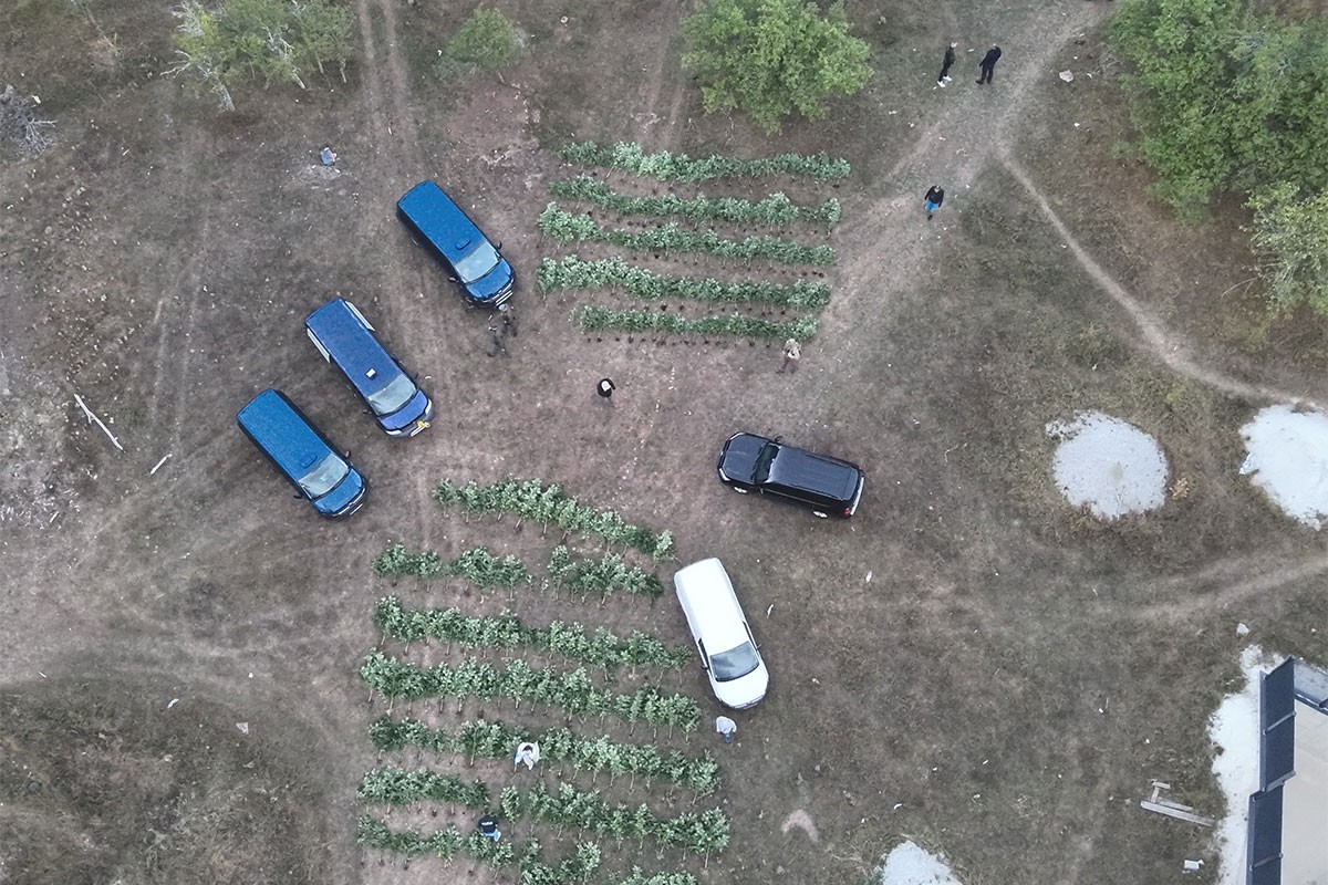 Velika akcija u BiH: Pronađeno oko 25 kg droge, uhapšeni Šišmiš i ekipa (FOTO)
