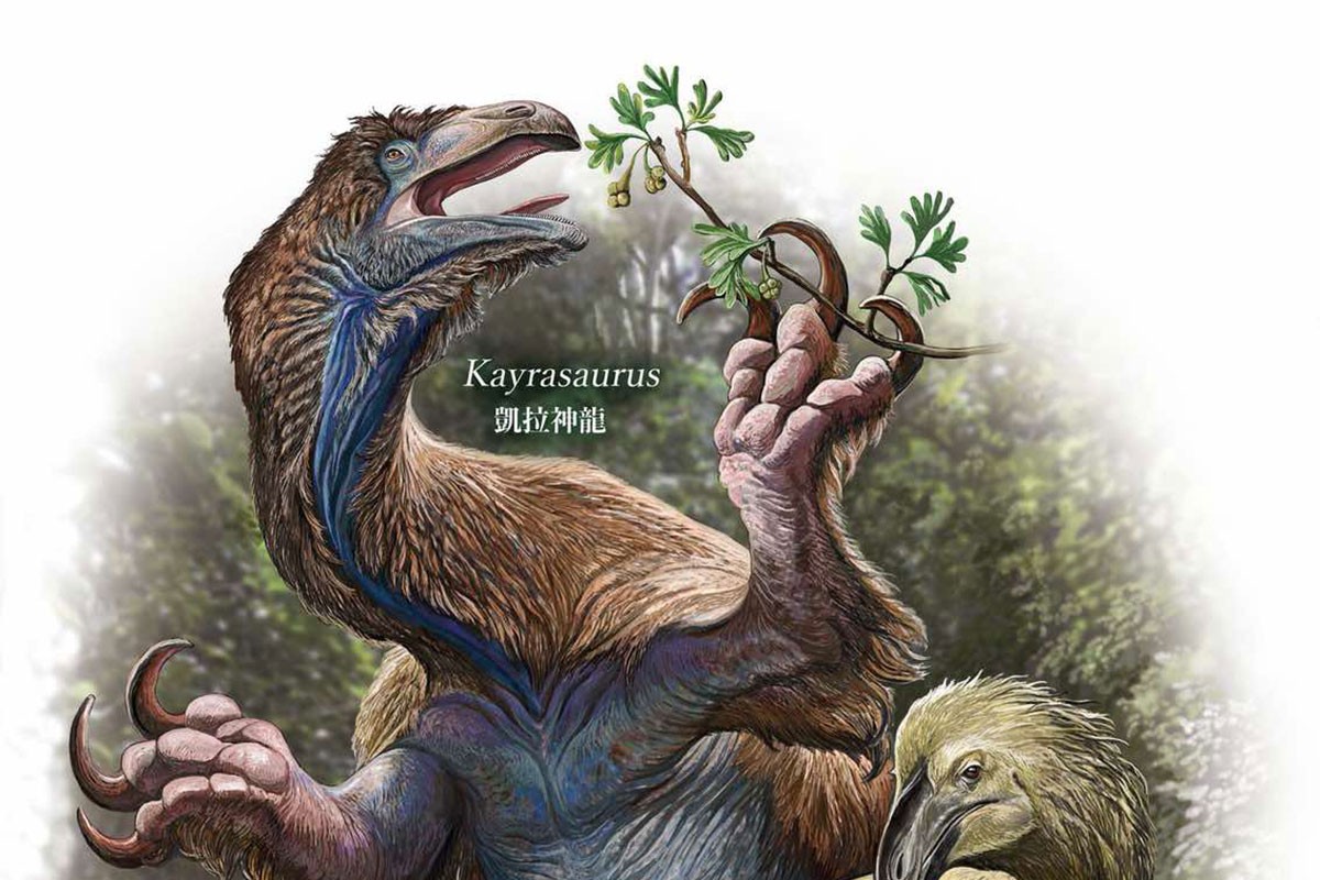 Otkrivena vrsta dinosaurusa sa kandžama i perjem (FOTO)