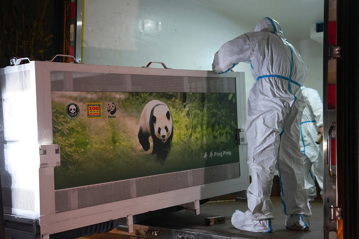 Kineske panda diplomate Ping Ping i Fu Šuang krenule za Atlantu