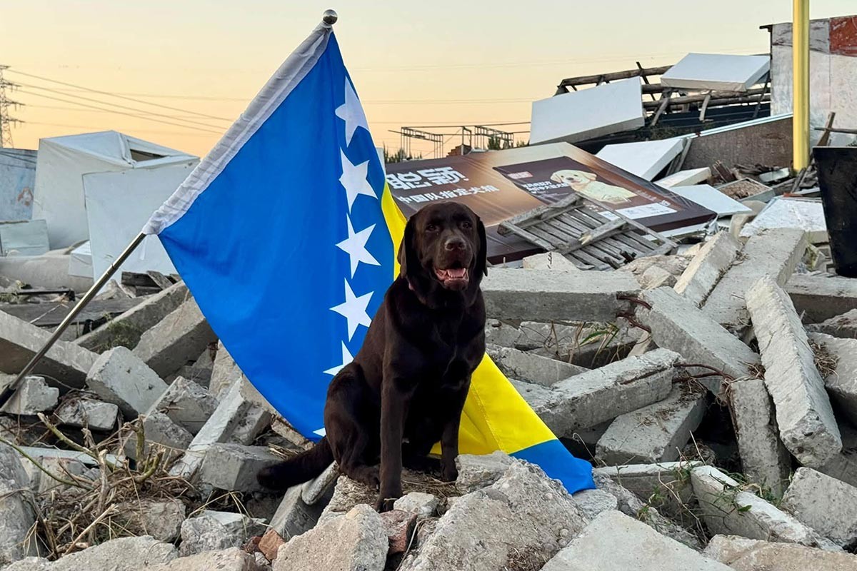 Iz Vogošće među K9 timove svijeta: Pas tragač Đurđa oduševila u Pekingu (FOTO)