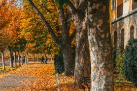 Razlika skoro 40 stepeni: BiH između zime i ljeta, jutros -8, danas do ...