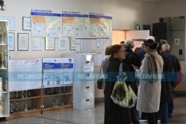Konstantan pad: Zašto je izlaznost glasača bila samo 42,02?