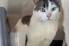 Simpatična "šalteruša" u BiH nasmijala društvene mreže (VIDEO)