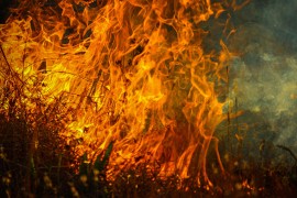 Drama u Zvorniku: Požar s njive stigao do benzinske pumpe