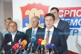 Sjednica SDS-a: Blanuša predložio ove dvije tačke dnevnog reda