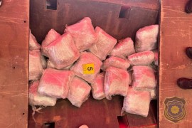 Hapšenje u akciji "Kamen": U šleperu pronađeno 100 kilograma droge ...