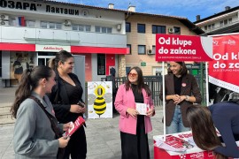 Menstrualno siromaštvo u BiH: Higijenski ulošci potrebni u svim ...