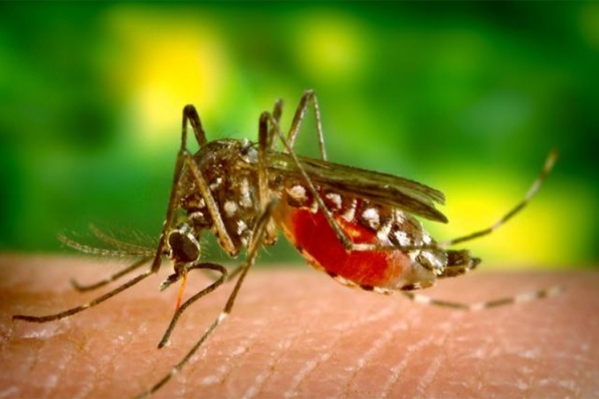 U Srbiji registrovano 59 slučajeva groznice Zapadnog Nila