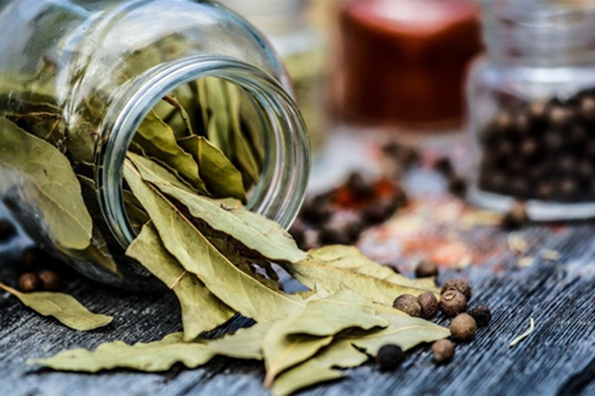 Domaći sirup od lovora protiv upornog kašlja