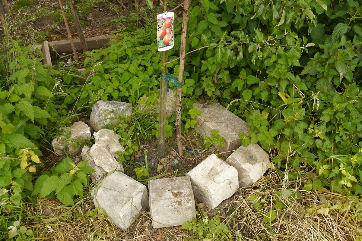 Voćari na oprezu: Bez ove mjere sadnice mogu da se osuše