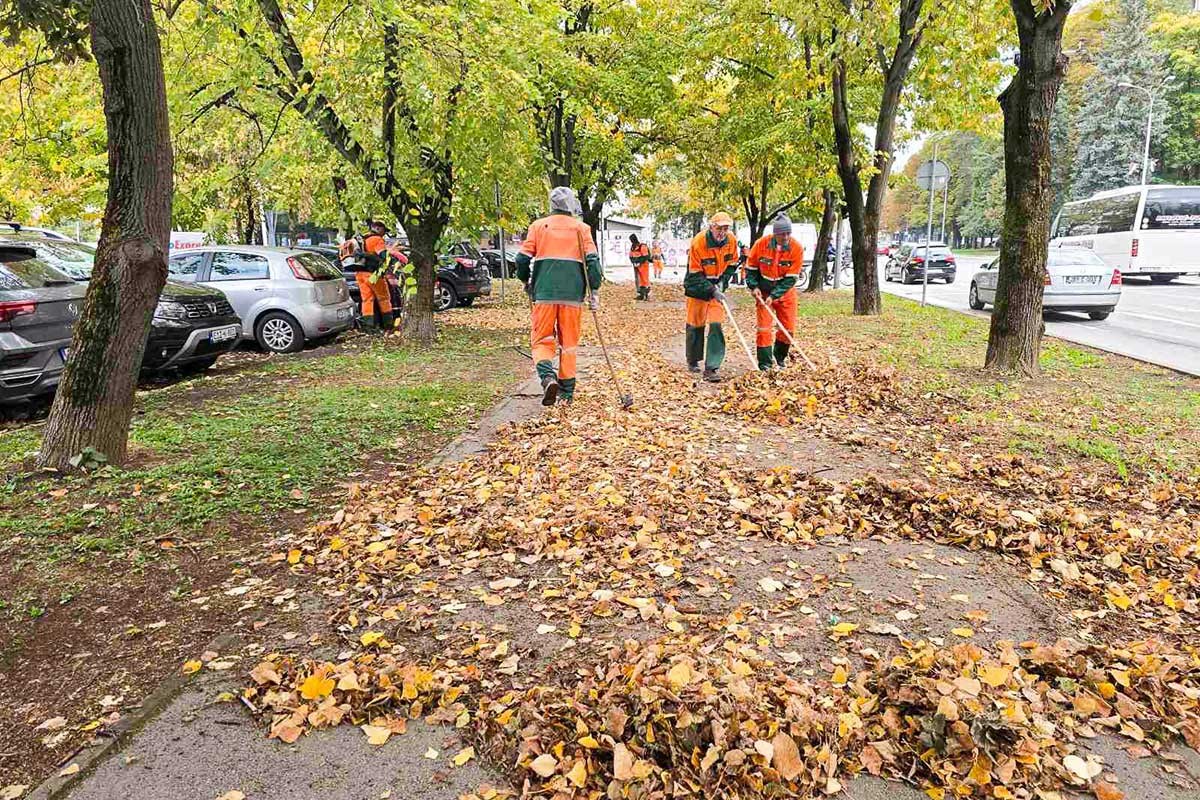 Koje ulice u Banjaluci su prioritet za čišćenje lišća