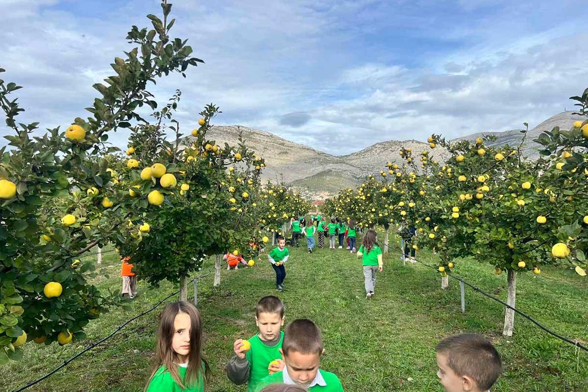 Tri stotine mališana se okupilo u dunjiku Danila Škera